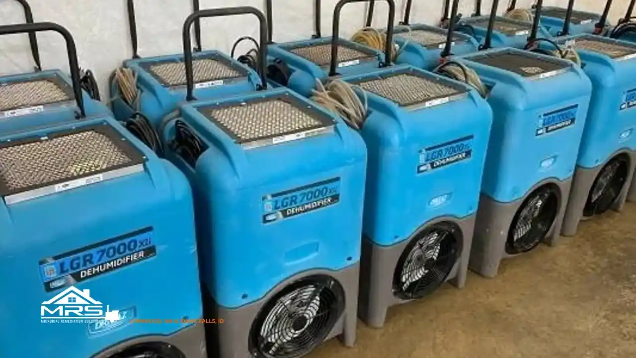 Commercial dehumidifier rental for moisture control and structural drying in Bothell WA
